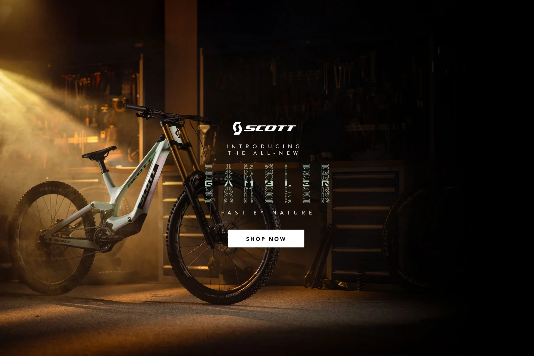 Ride Your Dream Australian Bike
